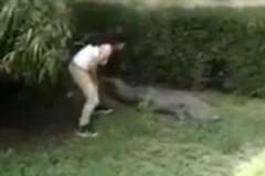 ワニに触りたい!動物園で柵を乗り越えワニに近付く女性が危険すぎる