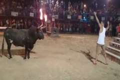 闘牛場で牛を挑発していた男性が角ですくい上げられ・・・