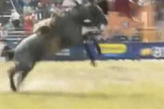 暴れ馬に乗るカウボーイが振り落とされて引きずられ・・・死亡