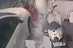 植木の手入れをしていた男性が暴走車に撥ね飛ばされ死亡