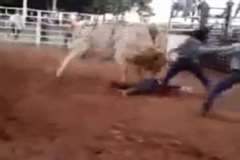 ロデオで暴れ牛に顔面を踏まれたカウボーイの顔が・・・